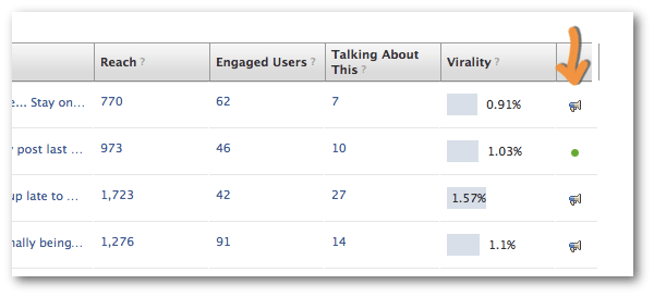 Facebook Web Insights Paid