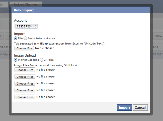 Facebook Power Editor Bulk Import
