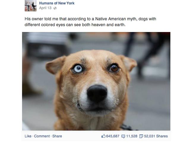 Humans-of-New-Yrk