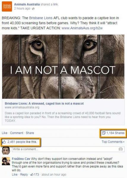 Best Facebook Pages: Discover Animals Australia Achieve 80% Engagement