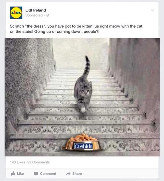 Lidl, trying to answer the impossible cat question.