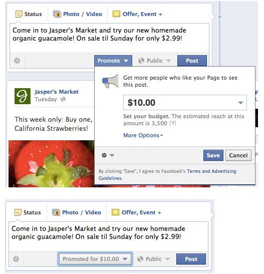 Example of Promote Post on Facebook Pages