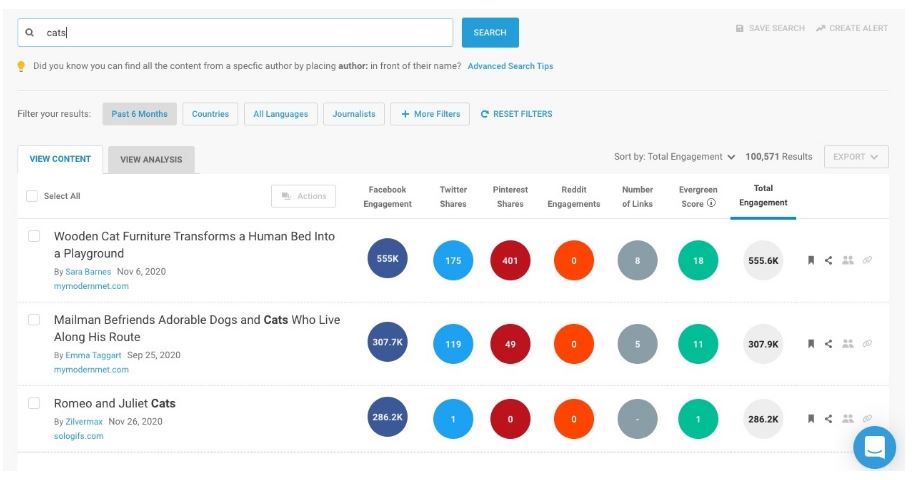 view content in buzzsumo