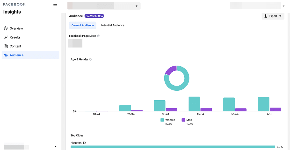 facebook audience insights current