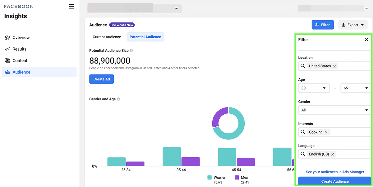 potential facebook audience insights