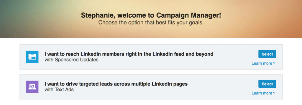 LinkedIn B2B Leads Campaign Manager -- screenshot 1