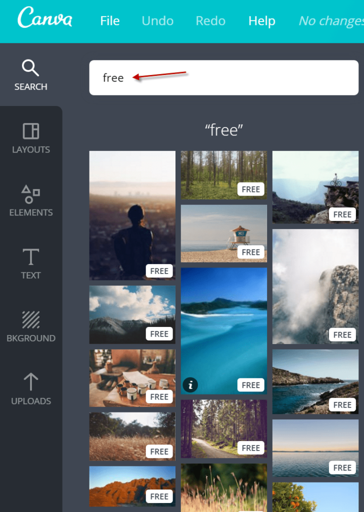 screenshot of Canva dashboard photo creation 