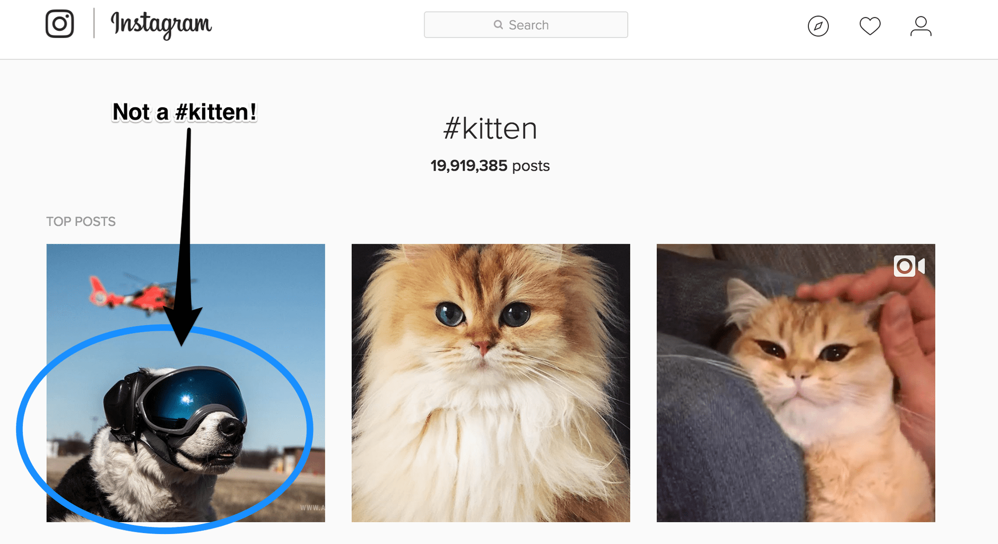 hashtag tips: How to use search for hashtags on Instagram