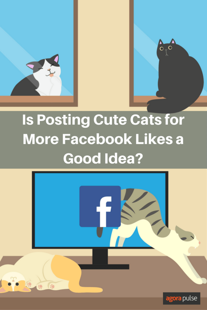 Learn when posting cute cats to Facebook is a good idea.