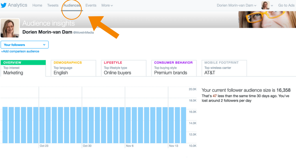 Twitter Audience Analytics Dashboard