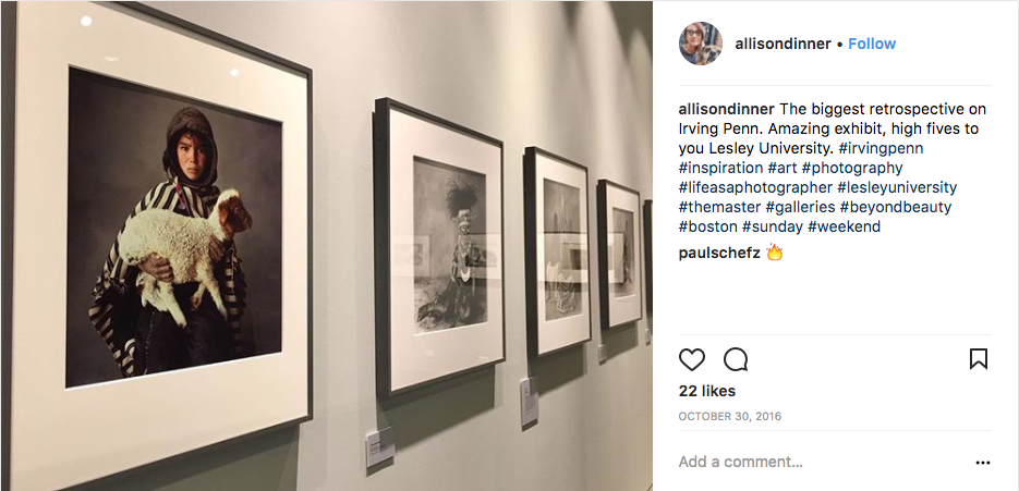 Photo of an art exhibit by @allisondinner on Instagram