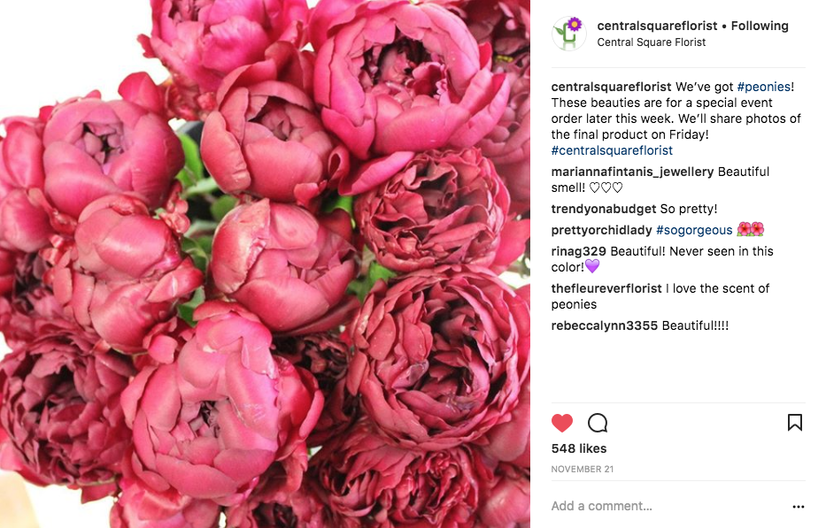 A photo of peonies by @centralsquareflorist on Instagram