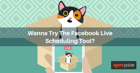 Facebook live scheduling tool
