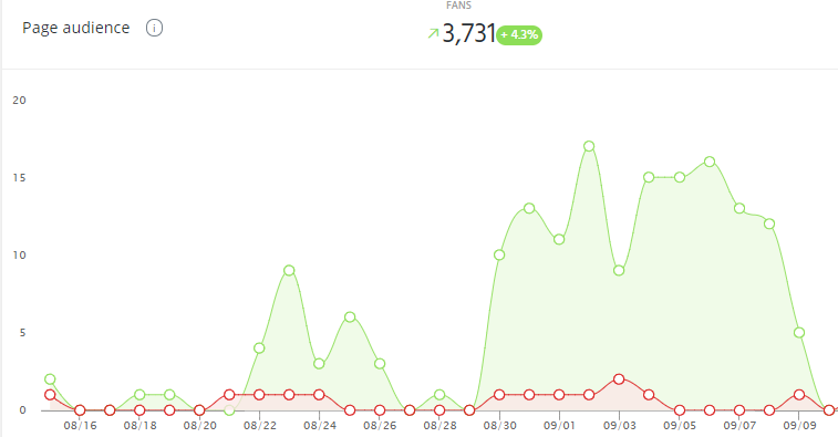 follower growth