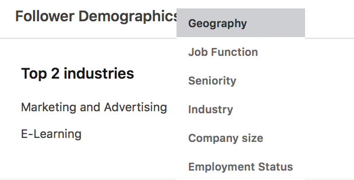 LinkedIn Analytics-- audience demographics