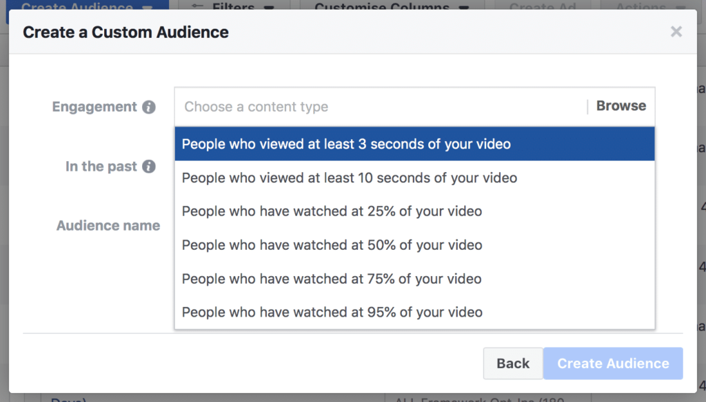 Video Custom Audience Eng Levels Advertising Campaigns