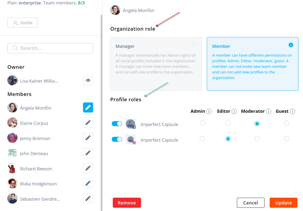 agorapulse organization roles