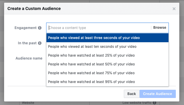 video viewers Video Custom Audience Segments
