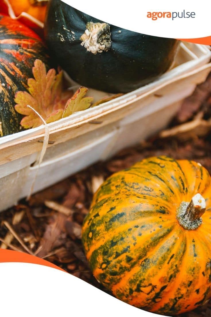 Grab Some Inspiration for Your Fall Social Media Content Calendar