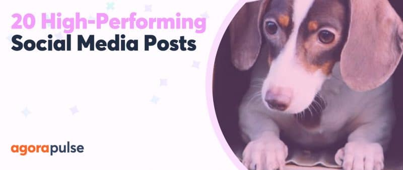 10 Types of Social Media Posts That Perform Well | Agorapulse