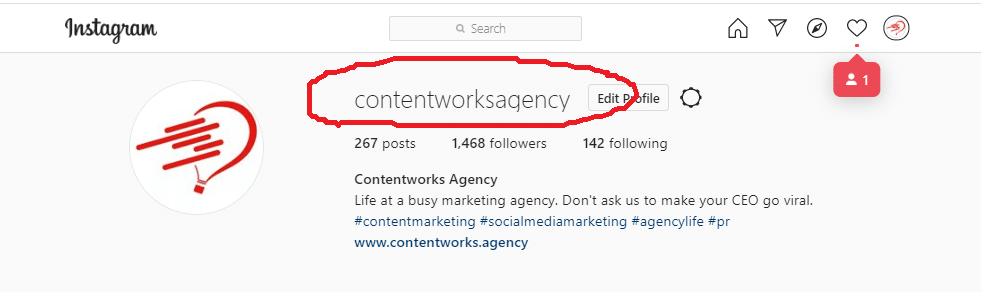 example of instagram marketing with a professional business profile