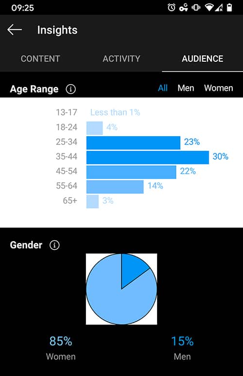 how to find audience data with Instagram Insights