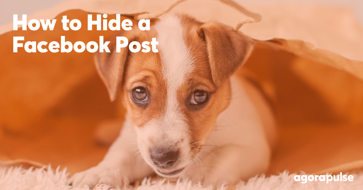 can you hide your own post on facebook