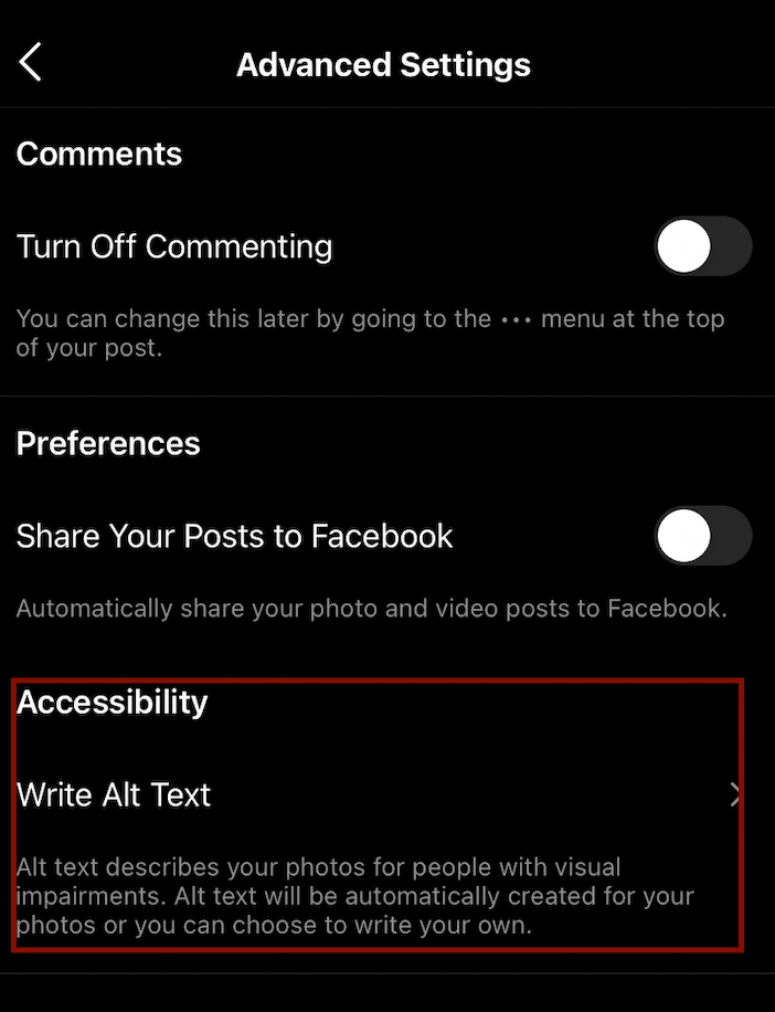 screenshot of how to write alt text on Instagram