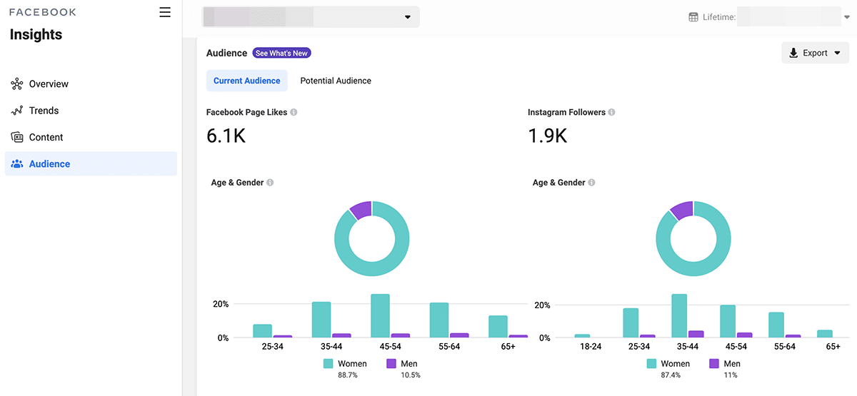 Social media campaign Facebook audience demographics