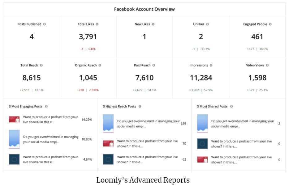 loomly advanced reports