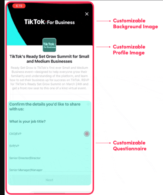 tiktok ads for business