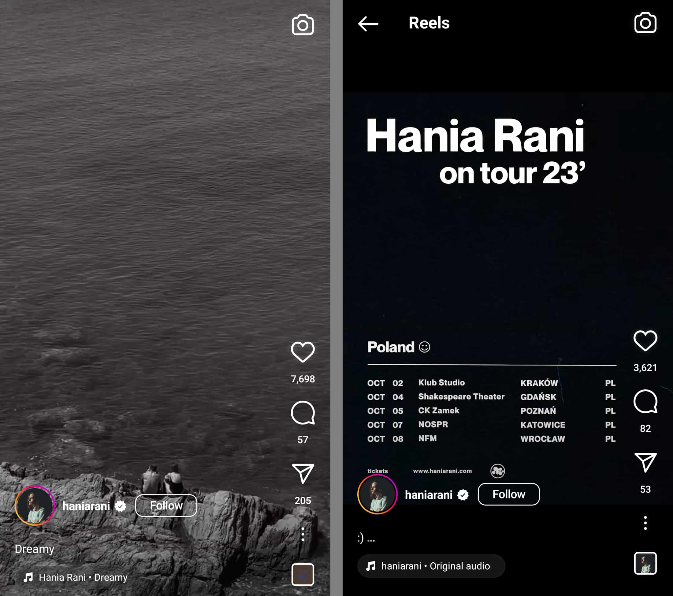 types of Instagram accounts example - haniarani