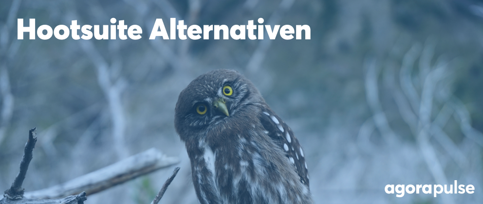 Hootsuite Alternativen