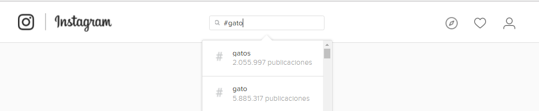 hashtag_gato