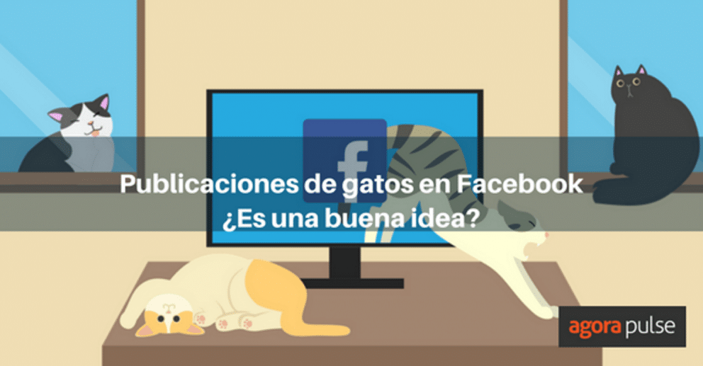 gatos en facebook, ¿Es una buena idea publicar gatos en Facebook para tu negocio?
