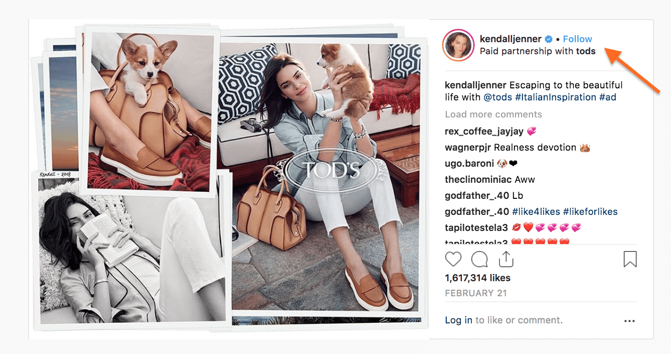 Paid Instagram Influencers-- example post