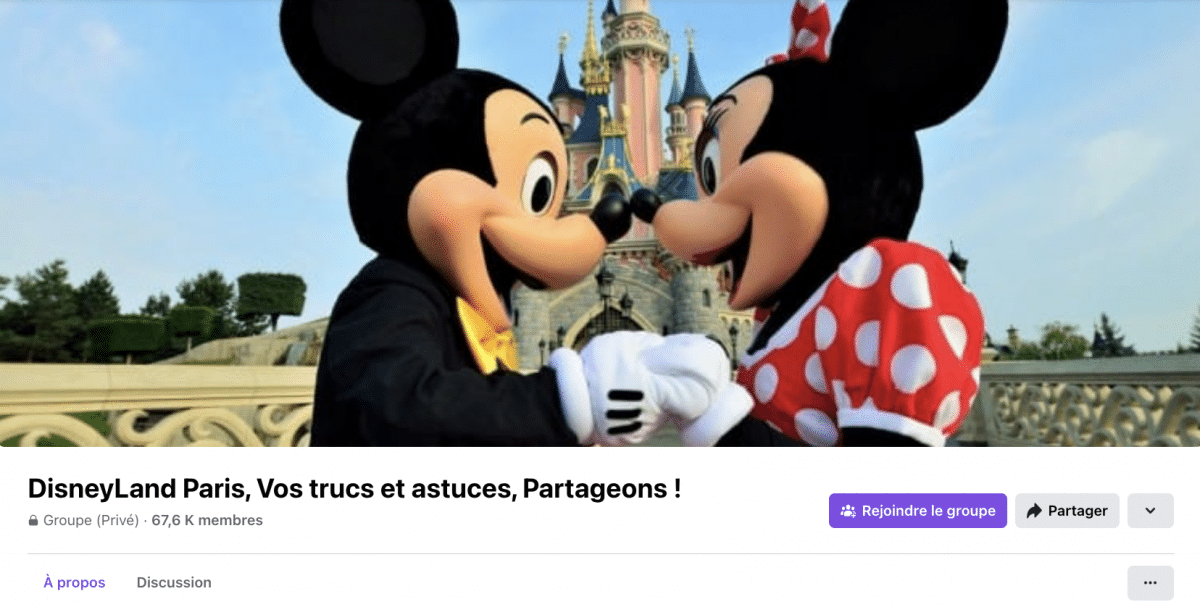 Disneyland paris groupe voyage réseaux sociaux Facebook