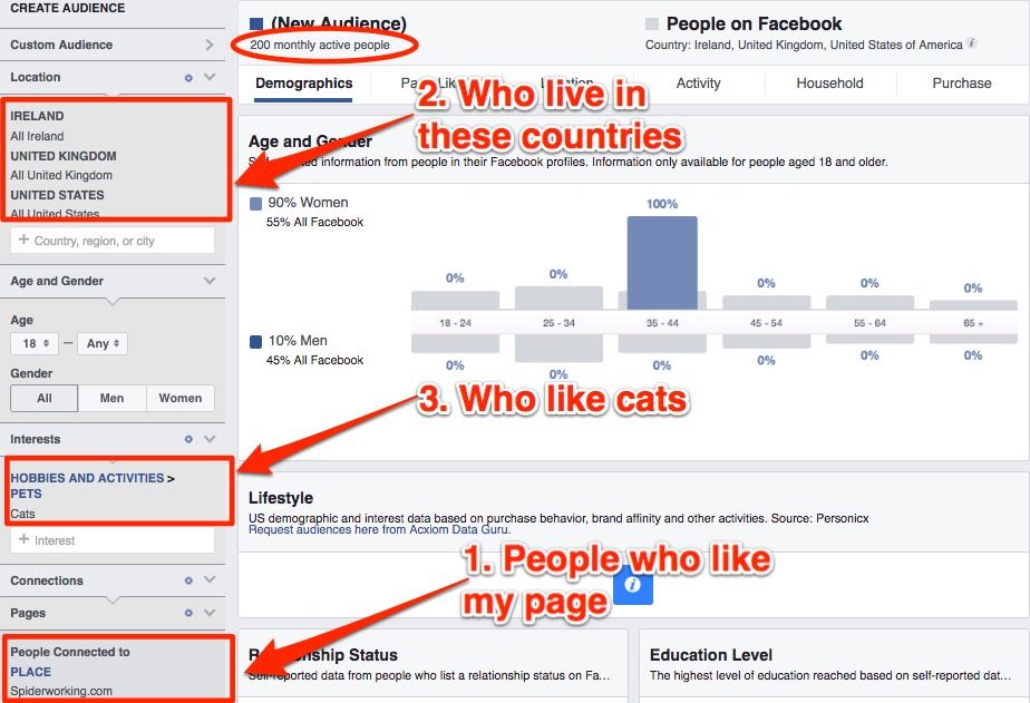 Use Audience Insights to find out if your Likers like cats.